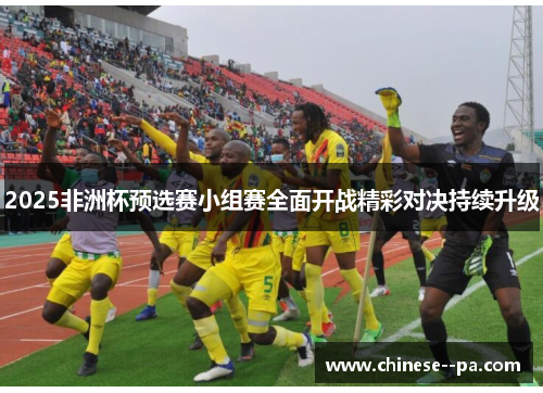 2025非洲杯预选赛小组赛全面开战精彩对决持续升级