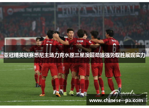 亚冠精英联赛悉尼主场力克水原三星澳超劲旅强势取胜展现实力