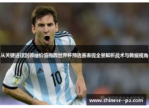 从关键进球到领袖价值梅西世界杯预选赛表现全景解析战术与数据视角