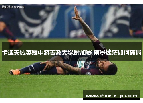 卡迪夫城英冠中游苦熬无缘附加赛 前景迷茫如何破局 卡迪夫城英冠中游苦熬无缘附加赛 前景迷茫如何破局