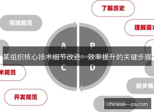 某组织核心技术细节改进：效率提升的关键步骤