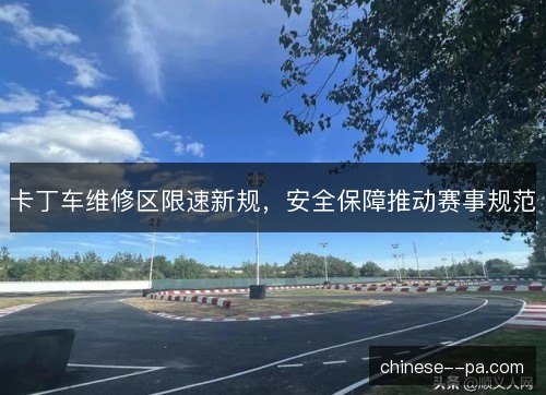 卡丁车维修区限速新规,安全保障推动赛事规范 卡丁车维修区限速新规,安全保障推动赛事规范